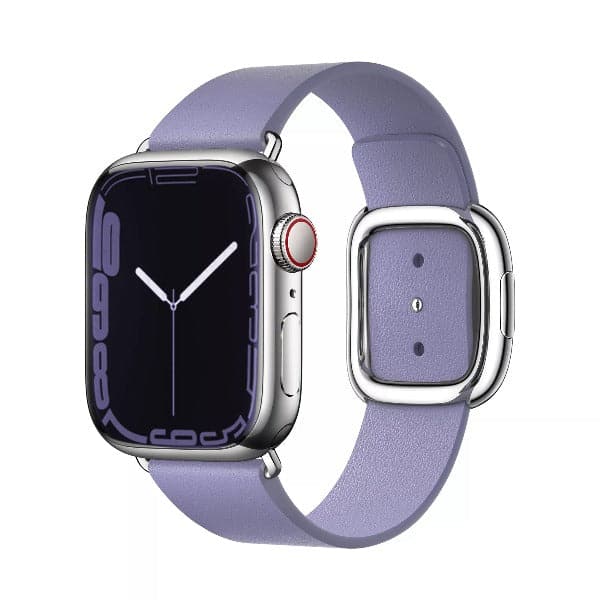 Modern Buckle Leather Band Scrunchapples 38/40/41 Plum