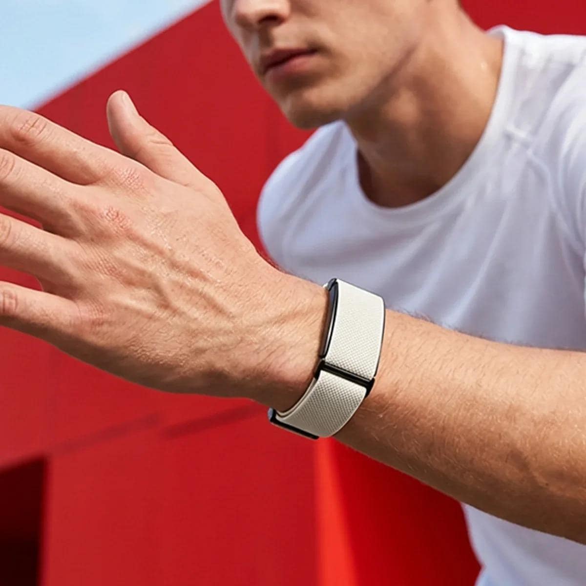 Google Fitbit Air nylon loop magnetic sport band