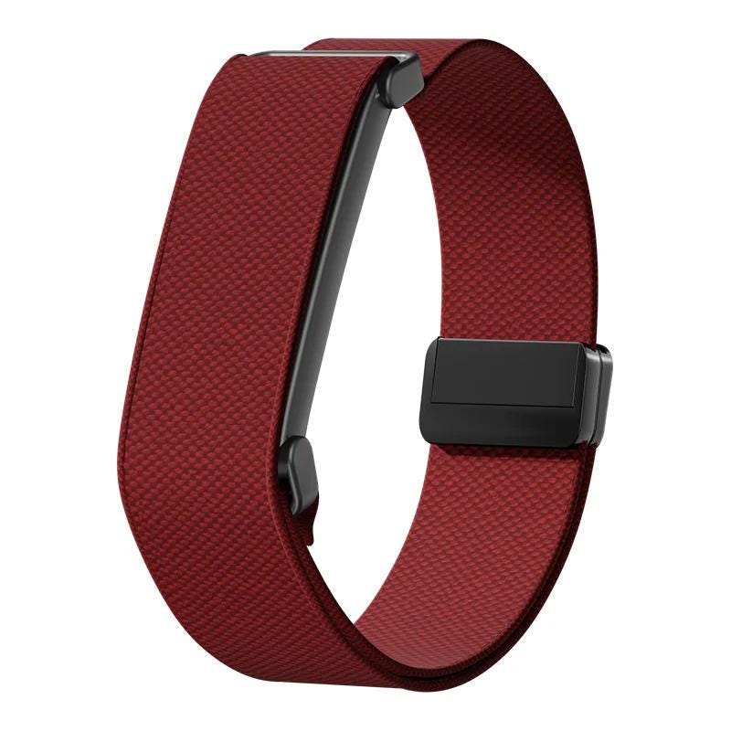 Wine Google Fitbit Air nylon loop magnetic sport band